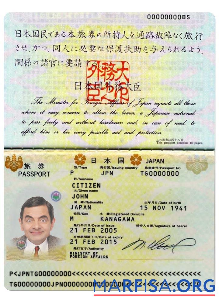 Blank Japan passport 2005 2015 example